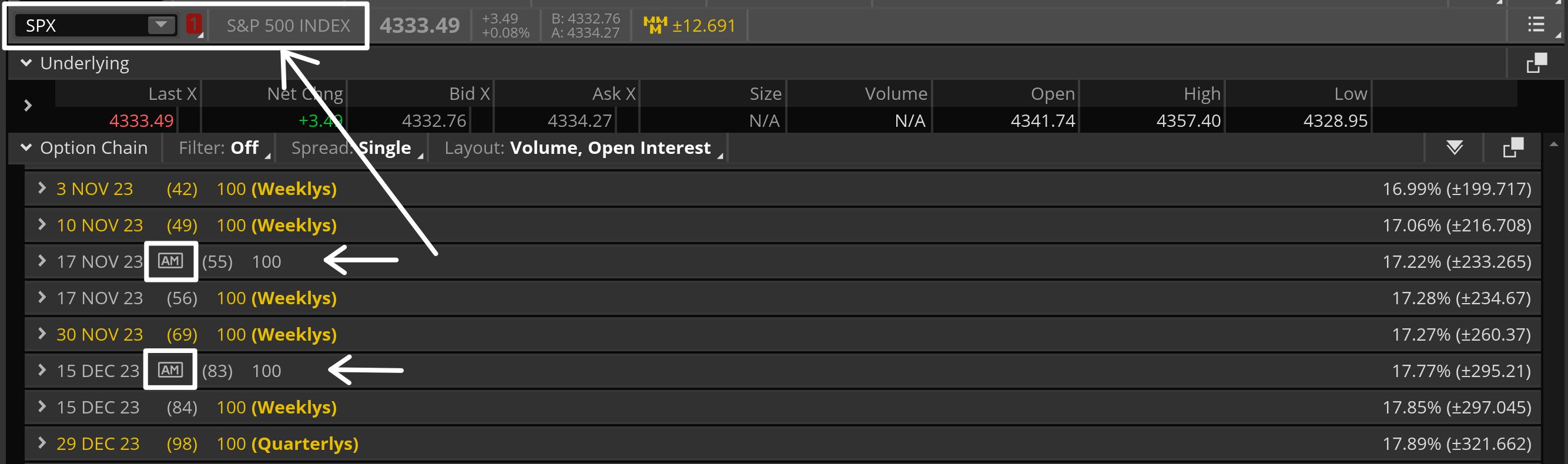 spx options chain