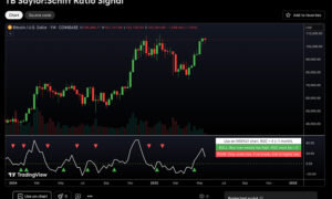 Saylor-Schiff Bitcoin Signal (TradingView)